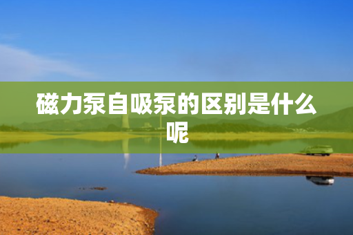 磁力泵自吸泵的区别是什么呢