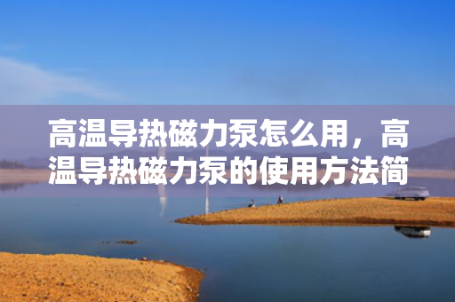 高温导热磁力泵怎么用，高温导热磁力泵的使用方法简介