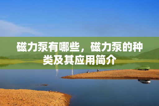 磁力泵有哪些，磁力泵的种类及其应用简介