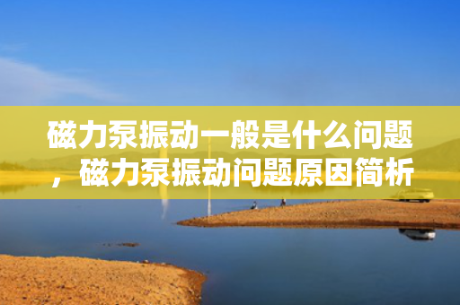 磁力泵振动一般是什么问题，磁力泵振动问题原因简析