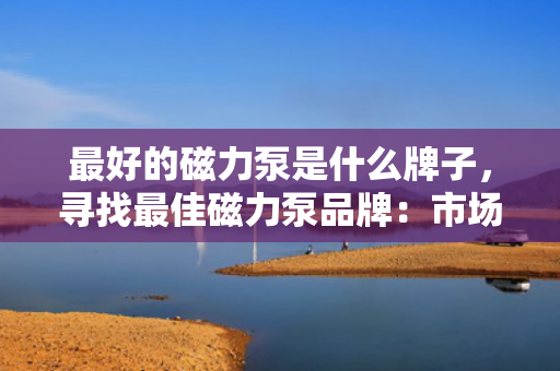最好的磁力泵是什么牌子，寻找最佳磁力泵品牌：市场顶级选择一览
