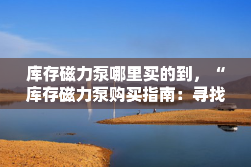 库存磁力泵哪里买的到，“库存磁力泵购买指南：寻找可靠供应商的必备知识”