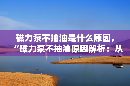 磁力泵不抽油是什么原因，“磁力泵不抽油原因解析：从油品、进气口到泵体和磁力的全方位排查”