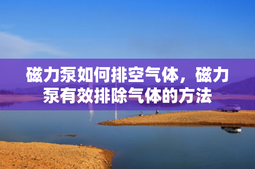 磁力泵如何排空气体，磁力泵有效排除气体的方法