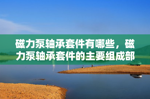 磁力泵轴承套件有哪些，磁力泵轴承套件的主要组成部件解析