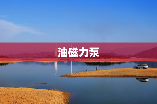 油磁力泵