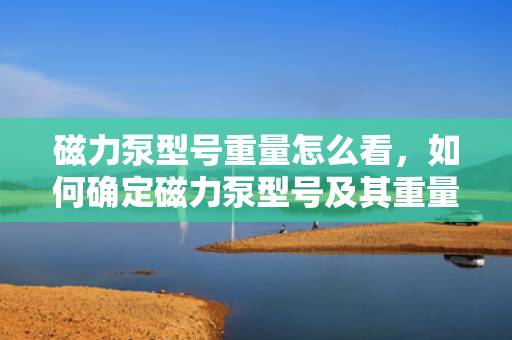 磁力泵型号重量怎么看，如何确定磁力泵型号及其重量——一份简洁的指南