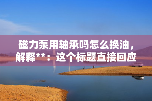 磁力泵用轴承吗怎么换油，解释**：这个标题直接回应了内容中的两个核心问题——磁力泵是否使用轴承以及如何更换其油液。通过“指南”二字，标题传达了一种实用、指导性的语气，适合作为相关操作或教学材料的标题。