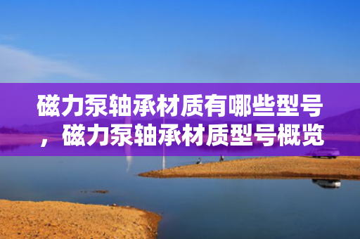 磁力泵轴承材质有哪些型号，磁力泵轴承材质型号概览：全面解析常见选择