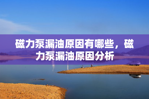 磁力泵漏油原因有哪些，磁力泵漏油原因分析