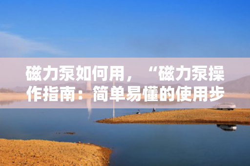 磁力泵如何用，“磁力泵操作指南：简单易懂的使用步骤”