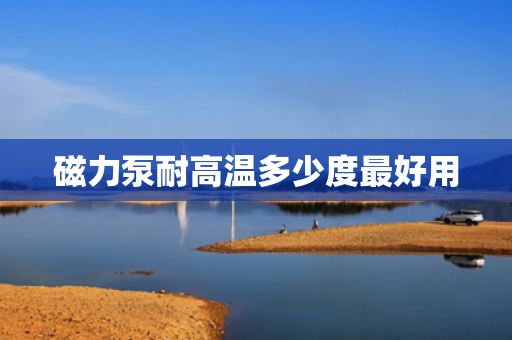 磁力泵耐高温多少度最好用