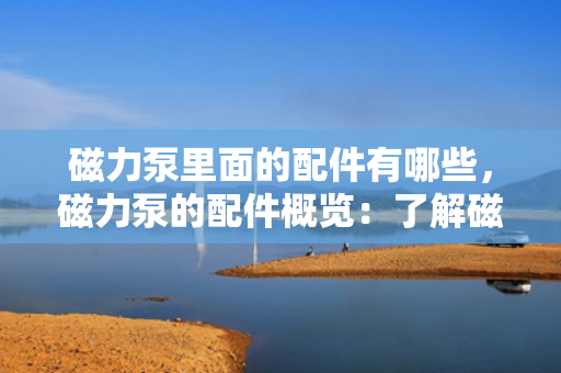 磁力泵里面的配件有哪些，磁力泵的配件概览：了解磁力泵内部关键组件