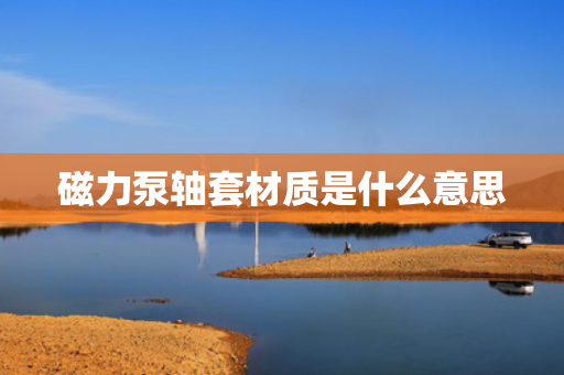 磁力泵轴套材质是什么意思