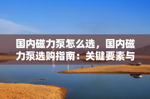 国内磁力泵怎么选，国内磁力泵选购指南：关键要素与实用建议