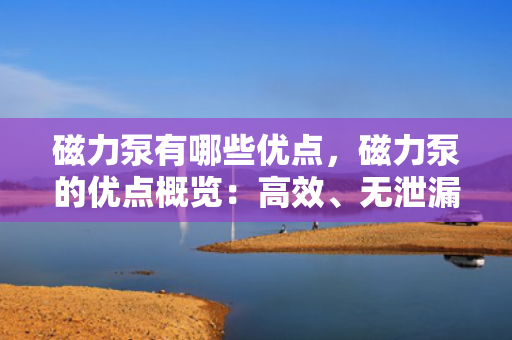 磁力泵有哪些优点，磁力泵的优点概览：高效、无泄漏、节能与环保的完美结合