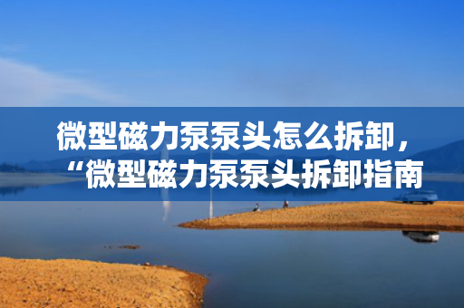 微型磁力泵泵头怎么拆卸，“微型磁力泵泵头拆卸指南：简单易懂的步骤教程”