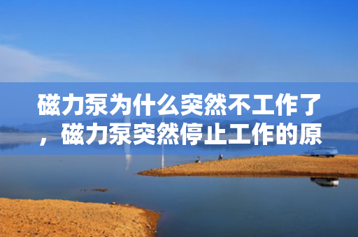 磁力泵为什么突然不工作了，磁力泵突然停止工作的原因及故障排除方法