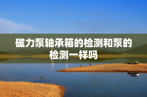 磁力泵轴承箱的检测和泵的检测一样吗