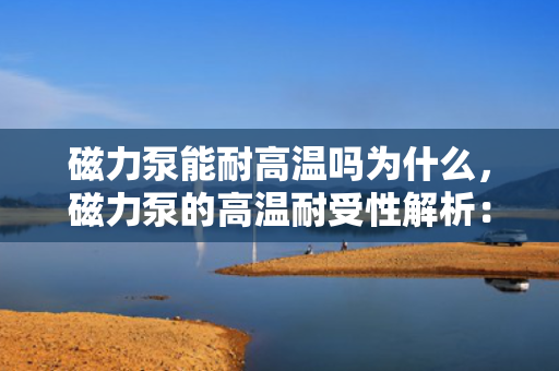 磁力泵能耐高温吗为什么，磁力泵的高温耐受性解析：为何它能应对高温环境？