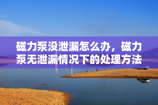 磁力泵没泄漏怎么办，磁力泵无泄漏情况下的处理方法或建议