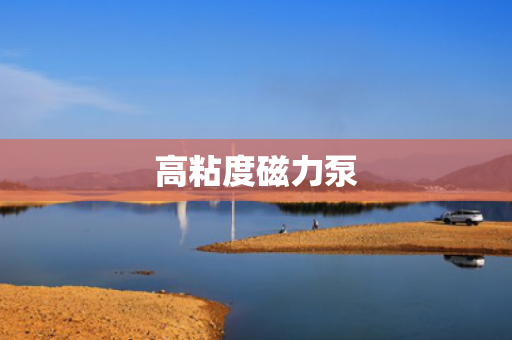 高粘度磁力泵