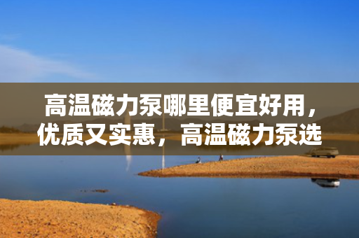 高温磁力泵哪里便宜好用，优质又实惠，高温磁力泵选购指南，助您找到性价比之选