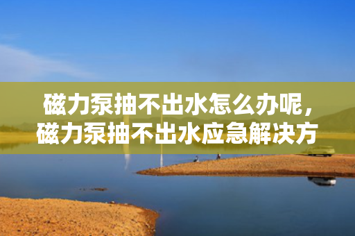 磁力泵抽不出水怎么办呢，磁力泵抽不出水应急解决方案