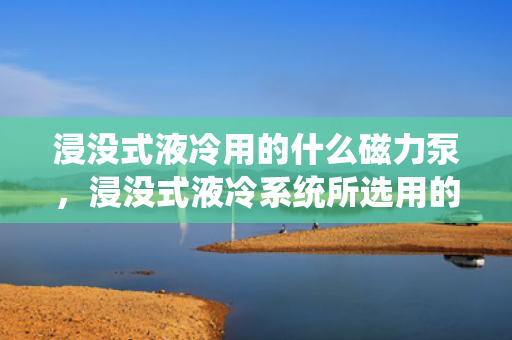 浸没式液冷用的什么磁力泵，浸没式液冷系统所选用的关键设备：磁力泵的应用与特性