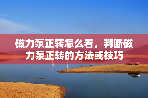 磁力泵正转怎么看，判断磁力泵正转的方法或技巧