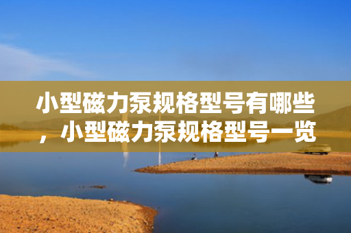 小型磁力泵规格型号有哪些，小型磁力泵规格型号一览：全面解析各类常见型号