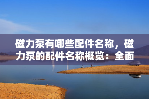磁力泵有哪些配件名称，磁力泵的配件名称概览：全面了解磁力泵的关键组件