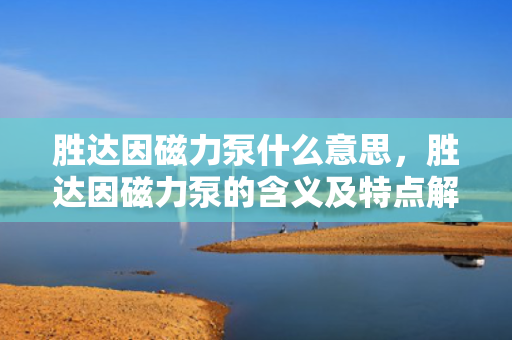 胜达因磁力泵什么意思，胜达因磁力泵的含义及特点解析
