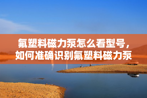 氟塑料磁力泵怎么看型号，如何准确识别氟塑料磁力泵的型号