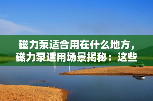 磁力泵适合用在什么地方，磁力泵适用场景揭秘：这些领域不可或缺的理想选择