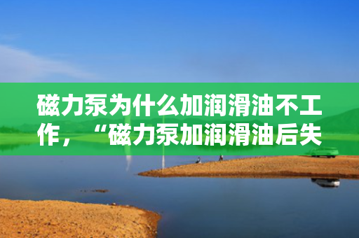 磁力泵为什么加润滑油不工作，“磁力泵加润滑油后失效原因解析”