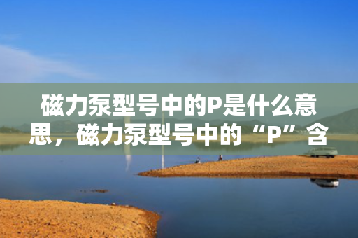 磁力泵型号中的P是什么意思，磁力泵型号中的“P”含义解析