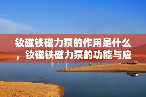 钕磁铁磁力泵的作用是什么，钕磁铁磁力泵的功能与应用解析
