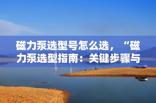磁力泵选型号怎么选，“磁力泵选型指南：关键步骤与要点解析”