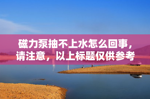 磁力泵抽不上水怎么回事，请注意，以上标题仅供参考，具体标题的选用应根据文章内容和风格来定。同时，在撰写文章时，应详细分析磁力泵抽不上水的原因，并提供相应的解决方法，以帮助读者更好地理解和解决问题。