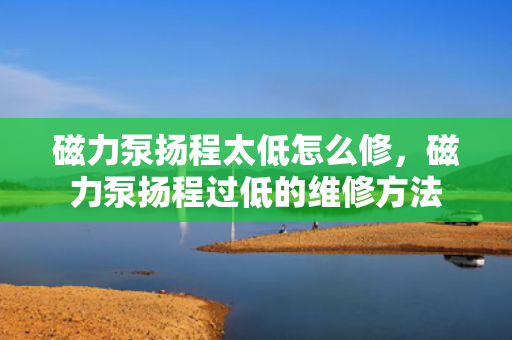 磁力泵扬程太低怎么修，磁力泵扬程过低的维修方法