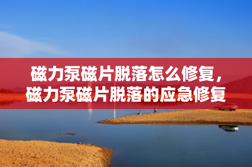 磁力泵磁片脱落怎么修复，磁力泵磁片脱落的应急修复方法