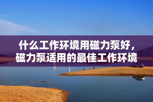 什么工作环境用磁力泵好，磁力泵适用的最佳工作环境选择指南