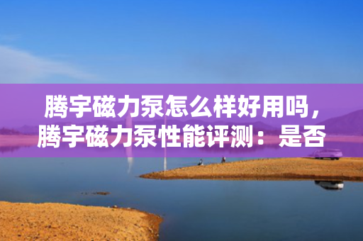 腾宇磁力泵怎么样好用吗，腾宇磁力泵性能评测：是否值得购买与使用体验解析