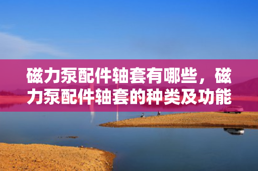 磁力泵配件轴套有哪些，磁力泵配件轴套的种类及功能解析