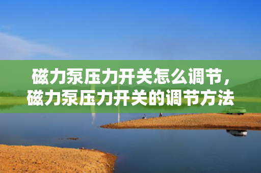 磁力泵压力开关怎么调节，磁力泵压力开关的调节方法