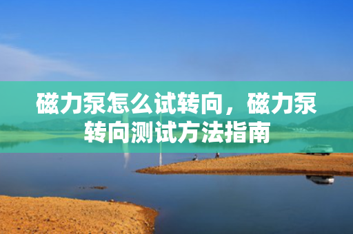 磁力泵怎么试转向，磁力泵转向测试方法指南