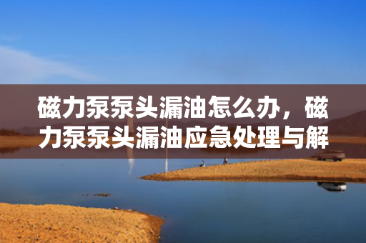 磁力泵泵头漏油怎么办，磁力泵泵头漏油应急处理与解决方案
