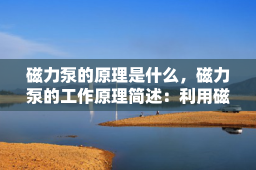 磁力泵的原理是什么，磁力泵的工作原理简述：利用磁力驱动实现无泄漏传输