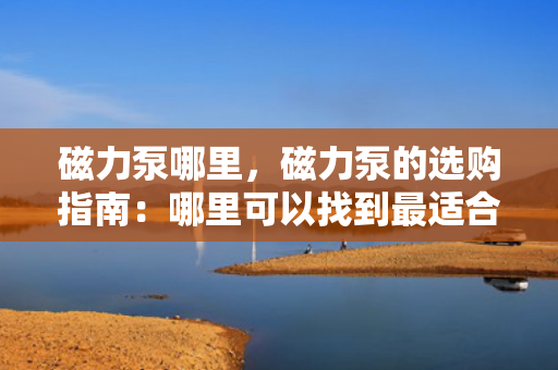 磁力泵哪里，磁力泵的选购指南：哪里可以找到最适合您的磁力泵？